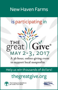 Great Give 2017